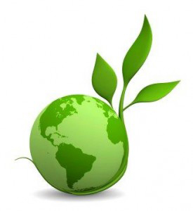 Earth with leaf